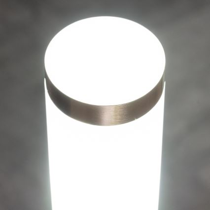 BRILAGI - Lampa zewnętrzna ELIA z czujnikiem ruchu, 1xE27/20W/230V, IP44, 50 cm, matowy chrom