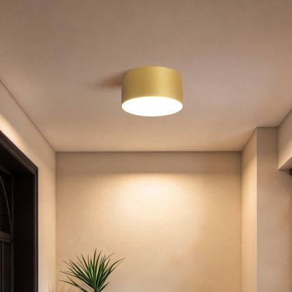 BRILAGI - LED łazienkowa lampa sufitowa FORIS LED/14W/230V śr. 12 cm złota IP44