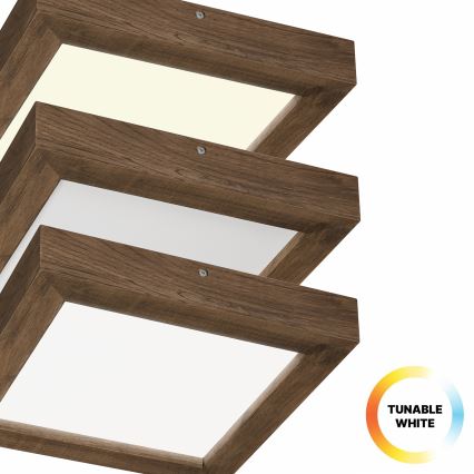 Brilagi - LED regulowane oświetlenie sufitowe do łazienki WOODY FRAME LED/24W/230V dąb orzech 30x30 cm 3000-6000K IP44 + pilot zdalnego sterowania