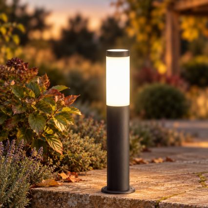 BRILAGI - LED ściemnialna lampa zewnętrzna ELIA 1xE27/6W/230V 2700-6500K IP44 Wi-Fi 50 cm antracyt