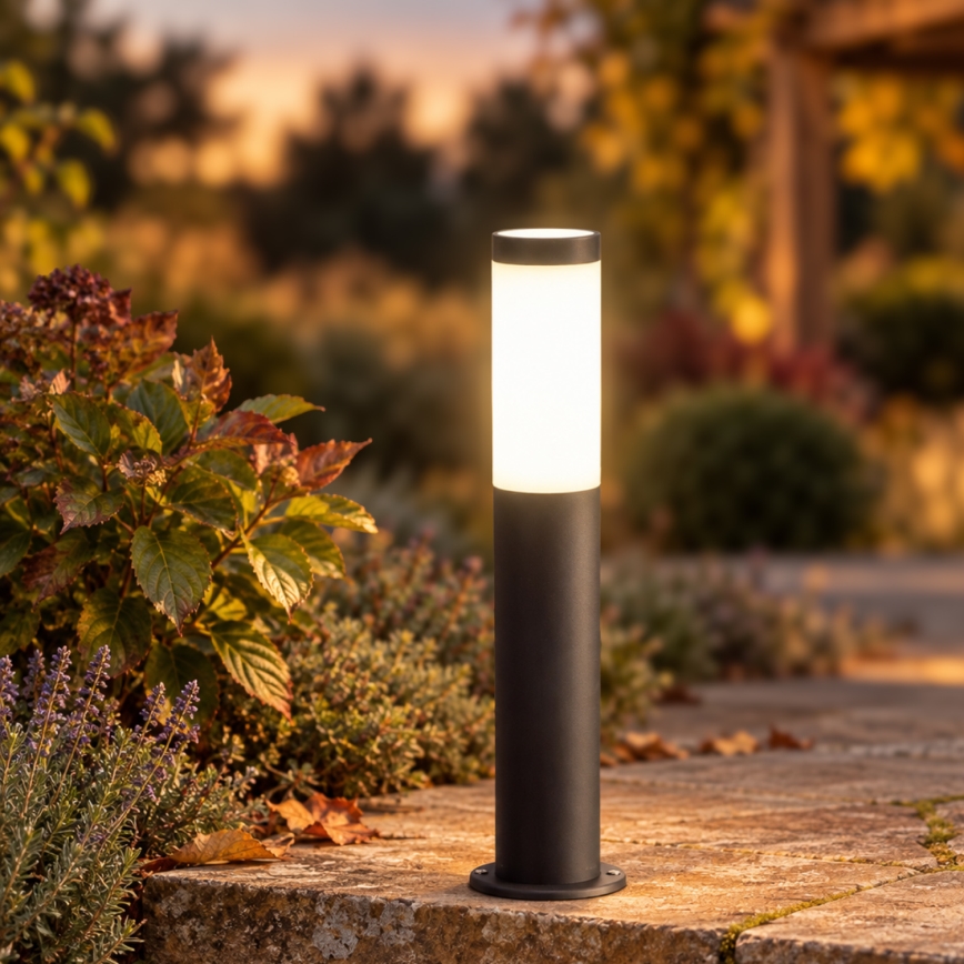 BRILAGI - LED ściemnialna lampa zewnętrzna ELIA 1xE27/6W/230V 2700-6500K IP44 Wi-Fi 50 cm antracyt