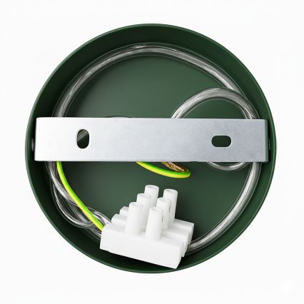 Brilagi - LED Kinkiet FLAMENGO 1xE27/60W/230V zielony