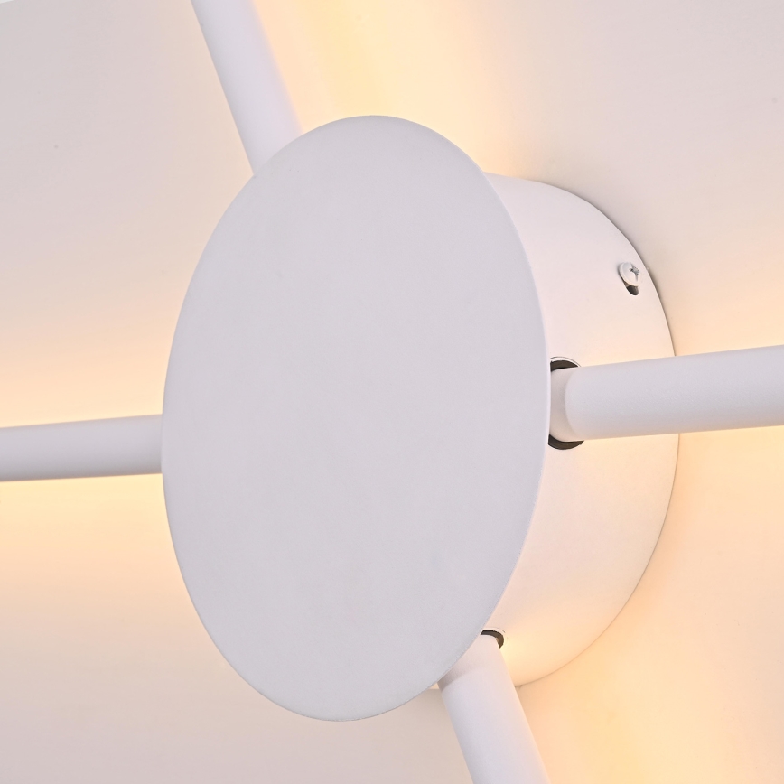 Brilagi - LED Kinkiet LUGO QUATTRO LED/16W/230V biały