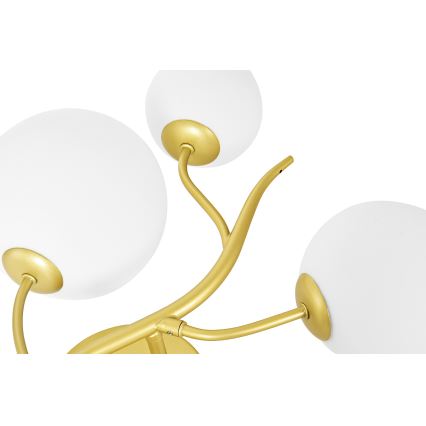 Brilagi - LED Kinkiet MISTEL 3xG9/3W/230V złoty/biały