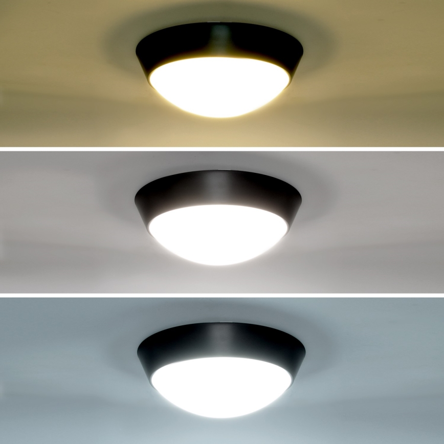 Brilagi - LED Kinkiet zewnętrzny 2w1 BULKHEAD LED/20W/230V 3000/4000/6000K IP65