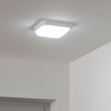 Brilagi - LED Kinkiet zewnętrzny LED/20W/230V IP54
