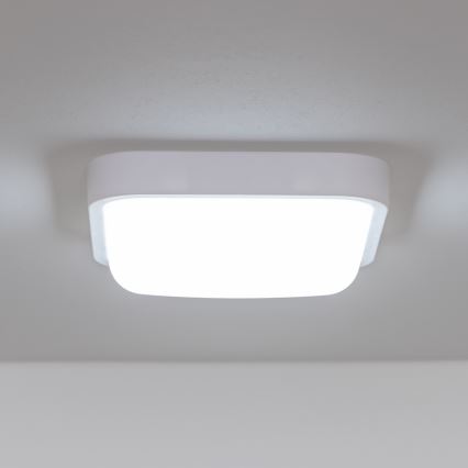 Brilagi - LED Kinkiet zewnętrzny LED/20W/230V IP54
