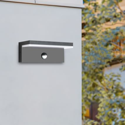 Brilagi - Zewnętrzny kinkiet LED z czujnikiem TESSI LED/10W/230V antracyt IP54