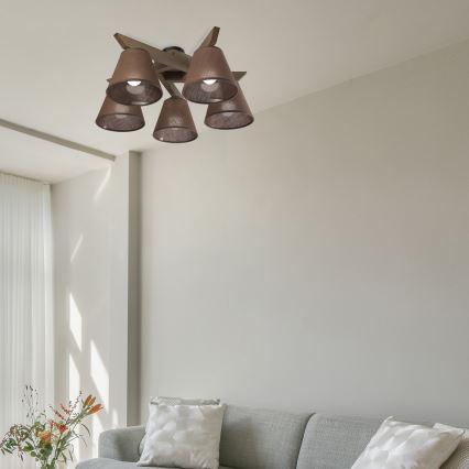 Brilagi - LED Plafon ANTHONY 5xE14/40W/230V dąb orzech/ciemny brąz