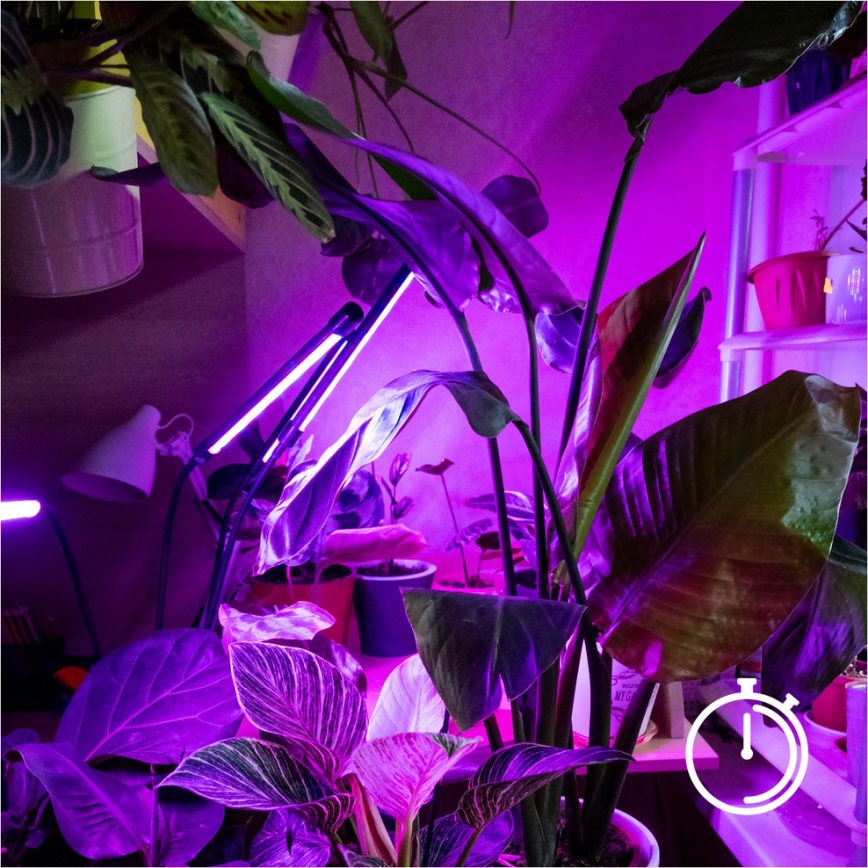 Brilagi - LED Ściemn. elast. lampa podłogowa do uprawy roślin VITABLOOM 4xLED/7,5W/230V czarny