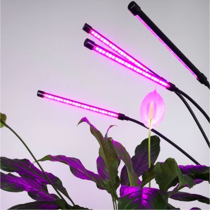 Brilagi - LED Ściemn. elast. lampa podłogowa do uprawy roślin VITABLOOM 4xLED/7,5W/230V czarny