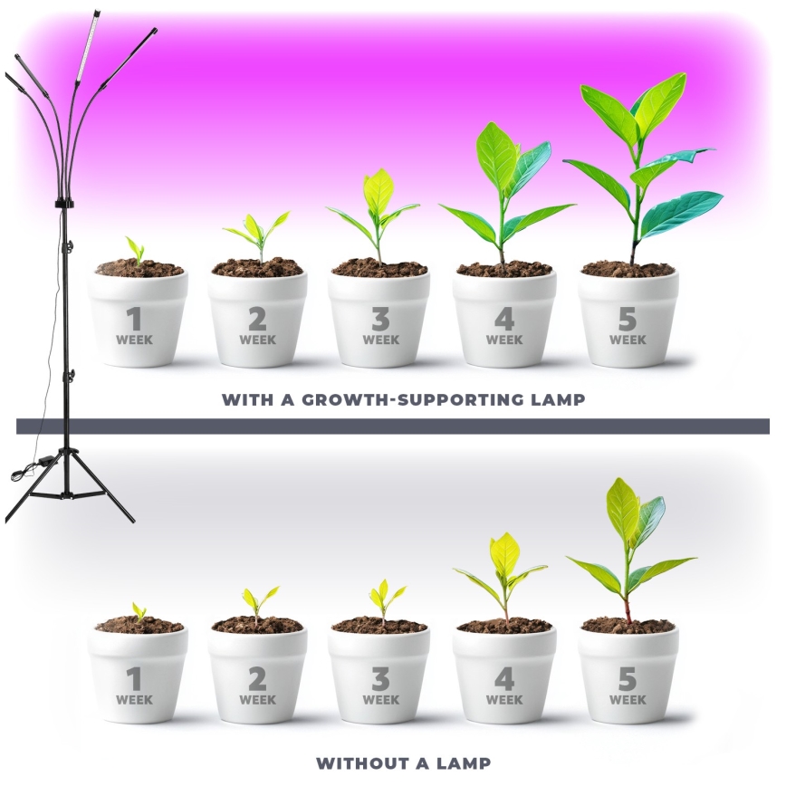 Brilagi - LED Ściemn. elast. lampa podłogowa do uprawy roślin VITABLOOM 4xLED/7,5W/230V czarny