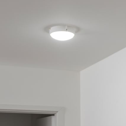 Brilagi - LED Lampa przemysłowa sufitowa SIMA LED/12W/230V IP65 biały