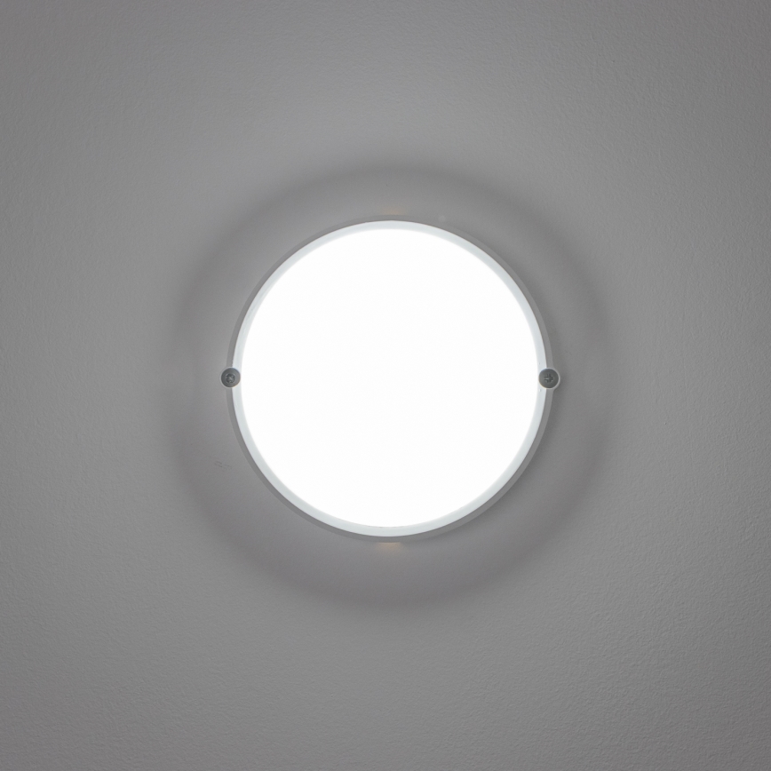 Brilagi - LED Lampa przemysłowa sufitowa SIMA LED/12W/230V IP65 biały