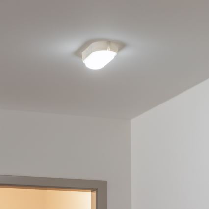 Brilagi - LED Lampa przemysłowa sufitowa SIMA LED/12W/230V IP65 biały