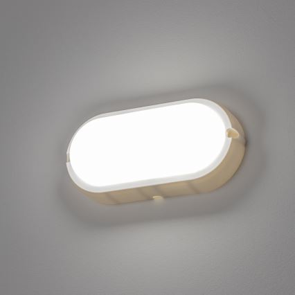Brilagi - LED Lampa przemysłowa sufitowa SIMA LED/12W/230V IP65 biały