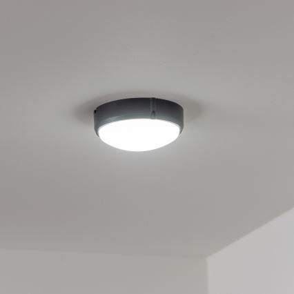 Brilagi - LED Lampa przemysłowa sufitowa SIMA LED/12W/230V IP65 czarny