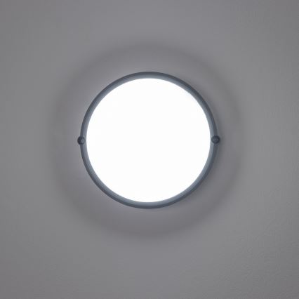 Brilagi - LED Lampa przemysłowa sufitowa SIMA LED/12W/230V IP65 czarny