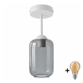 BRILAGI - LED lampa przysufitowa RETRO GLASS 1xE27/60W/230V śr. 14 cm biały/przydymiony szary