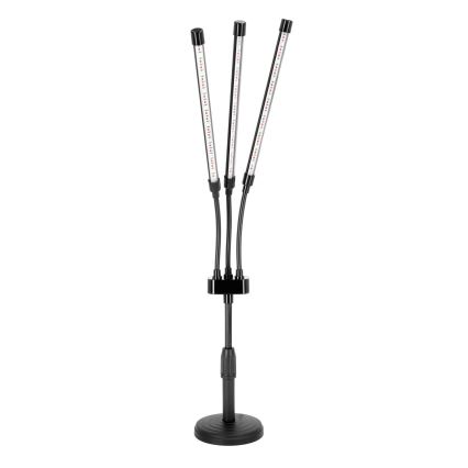 Brilagi - LED Ściemn. elast. Lampa stołowa do uprawy roślin VITABLOOM 3xLED/10W/230V czarny