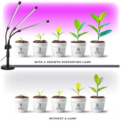 Brilagi - LED Ściemn. elast. Lampa stołowa do uprawy roślin VITABLOOM 3xLED/10W/230V czarny