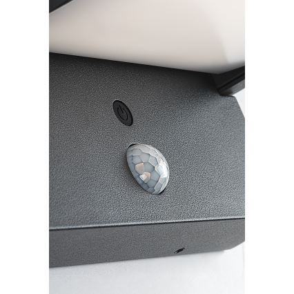 Brilagi - LED solarny kinkiet ścienny z czujnikiem ruchu i zmierzchu ANKLE LED/10W/3,7V 3000 mAh 3000K IP65 antracyt