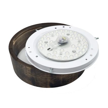 Brilagi - LED lampa sufitowa CARVALHO SMOKEY LED/20W/230V dąb śr. 27,5 cm