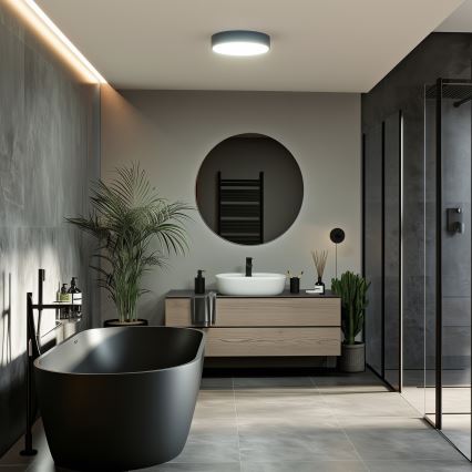 Brilagi - LED oprawa sufitowa do łazienki POOL LED/24W/230V 3000/4000/5500K śr. 30 cm IP54 czarna