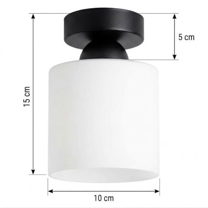 BRILAGI - LED lampa sufitowa RETRO GLASS 1xE27/60W/230V Ø 10 cm czarna/biała