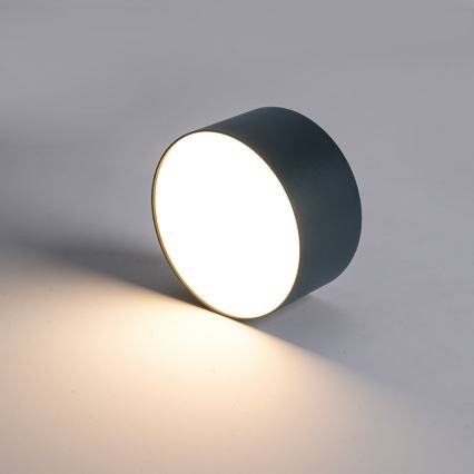 BRILAGI - LED Zewnętrzna lampa sufitowa FORIS LED/9W/230V śr. 9 cm antracyt IP44