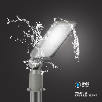 Brilagi - LED zewnętrzna lampa uliczna ze słupem i przegubem 3 m URBANLIGHT LED/50W/230V szara IP65