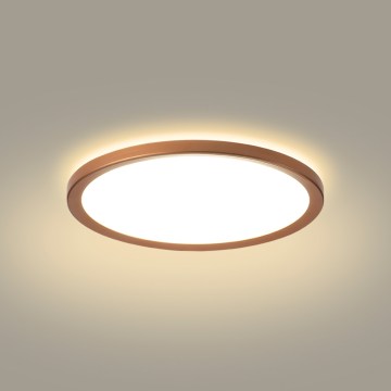 Brilagi - LED łazienkowa oprawa sufitowa ULTRA SLIM LED/12W/230V śr. 22,5 cm różowe złoto IP54