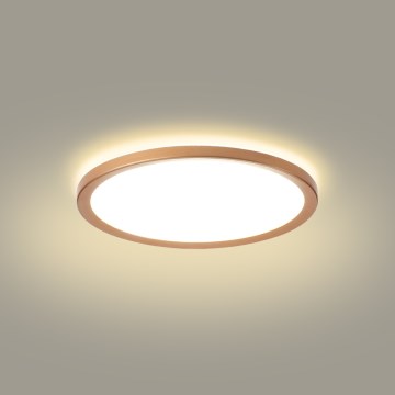 Brilagi - LED łazienkowy plafon ULTRA SLIM LED/18W/230V śr. 30 cm różowe złoto IP54