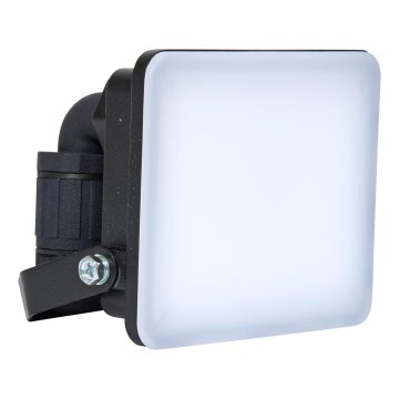 Brilagi - LED Naświetlacz ELARA PRO LED/10W/230V IP65