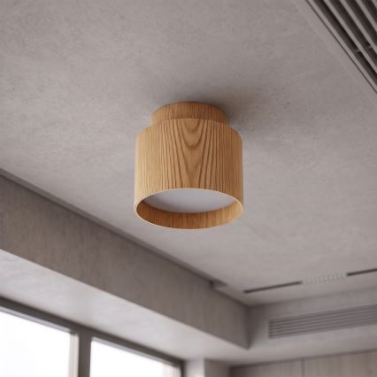 BRILAGI - Oprawa punktowa LED BACKLIT 1xGX53/15W/230V + LED/3W średnica 8 cm dekor dębu