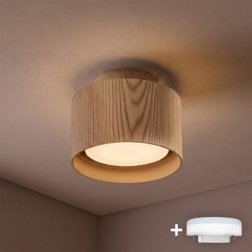 BRILAGI - LED Oprawa punktowa BACKLIT 1xGX53/15W/230V + LED/3W Ø 10 cm dekor dębu