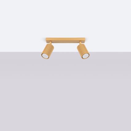 Brilagi - LED oprawa punktowa CRESTO 2xGU10/10W/230V złota