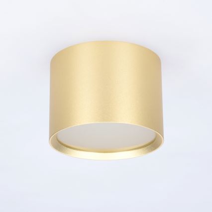 BRILAGI - LED punktowa oprawa łazienkowa SMOOTH 1xGX53/15W/230V 60x82 mm złota IP54
