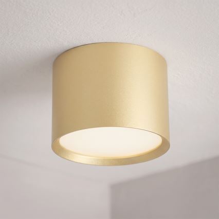 BRILAGI - LED punktowa oprawa łazienkowa SMOOTH 1xGX53/15W/230V 60x82 mm złota IP54