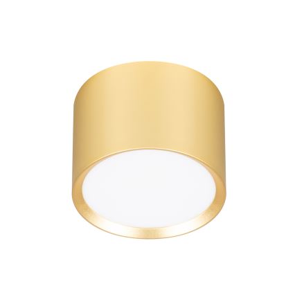 BRILAGI - LED Oprawa punktowa SMOOTH 1xGX53/15W/230V 60x82 mm złota