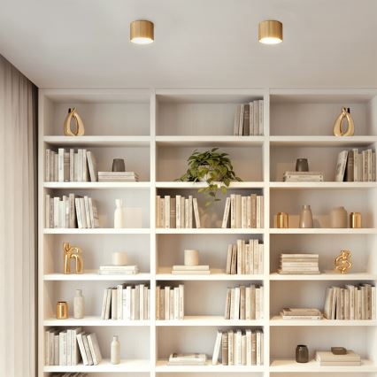 Brilagi - LED Oprawa punktowa STRIPY 1xGX53/15W/230V złota