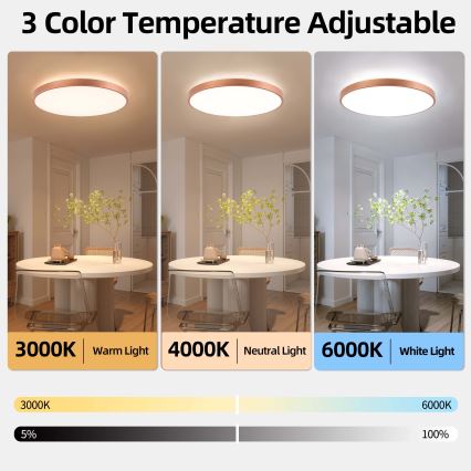 BRILAGI - ściemnialna oprawa sufitowa LED GLASS POOL DOUBLE LED/80W/230V śr. 60 cm miedziana + pilot zdalnego sterowania