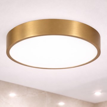 Brilagi - LED oprawa sufitowa do łazienki POOL LED/36W/230V 3000/4000/5500K śr. 40 cm IP54 brąz