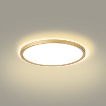 Brilagi - LED oprawa sufitowa łazienkowa ULTRA SLIM LED/18W/230V Ø 30 cm złota IP54