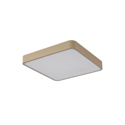 Brilagi - LED oprawa sufitowa POOL SQUARE LED/48W/230V 3000/4000/6000K 50x50 cm beżowa