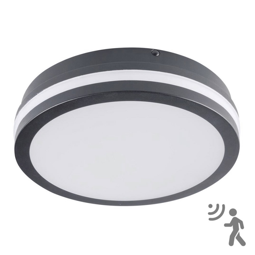 Brilagi - Oprawa zewnętrzna LED z czujnikiem BENE LED/18W/230V śr. 22 cm antracyt IP54