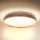 Brilagi - LED Plafon ALSON LED/24W/230V dąb