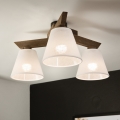 Brilagi - LED Plafon ANTHONY 3xE14/40W/230V dąb orzech/biały
