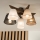 Brilagi - LED Plafon ANTHONY 5xE14/40W/230V dąb orzech