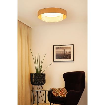 Brilagi - LED Plafon ARIZONA BOHO LED/26W/230V śr. 60 cm beżowy